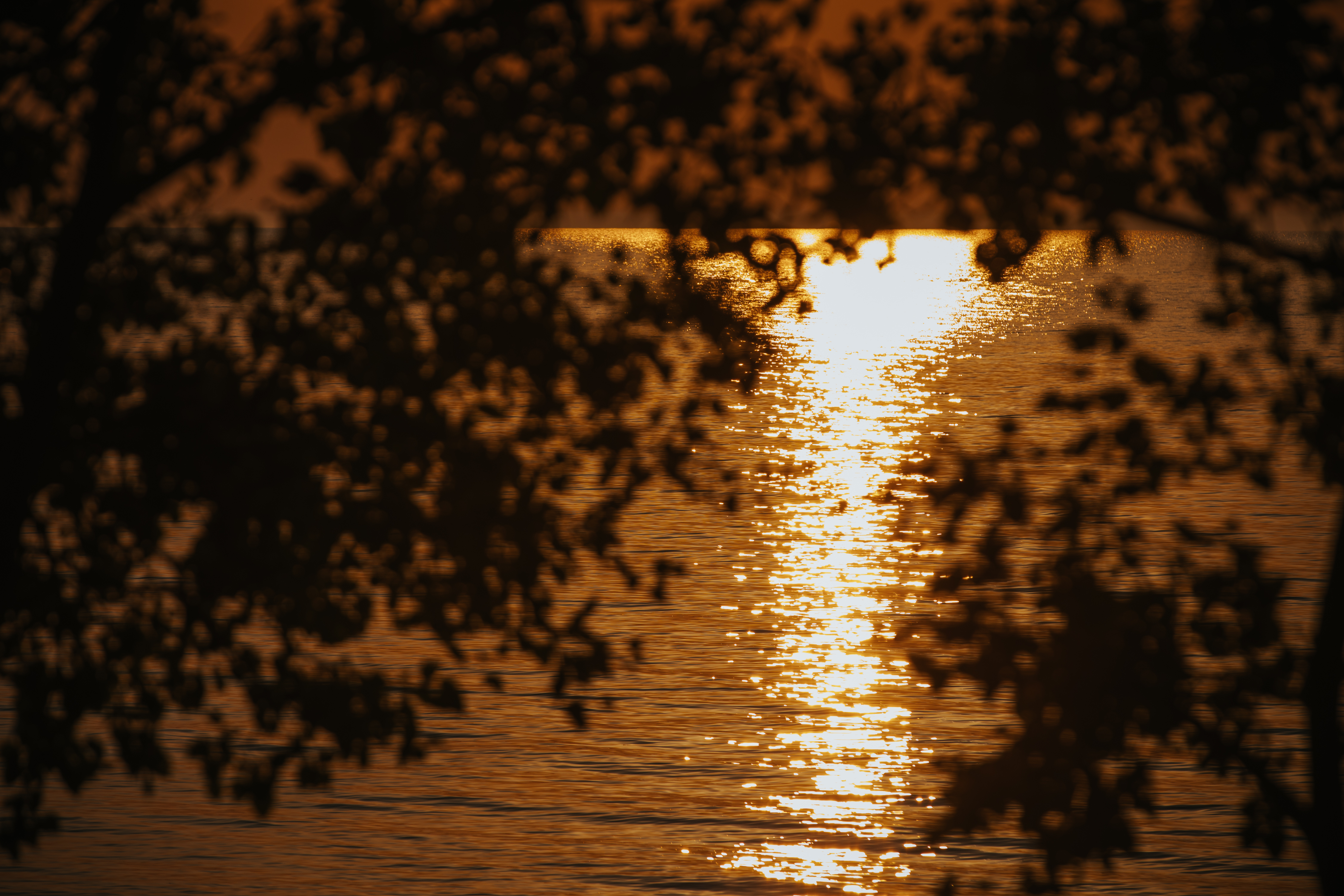 Samarieši@Med4You logo