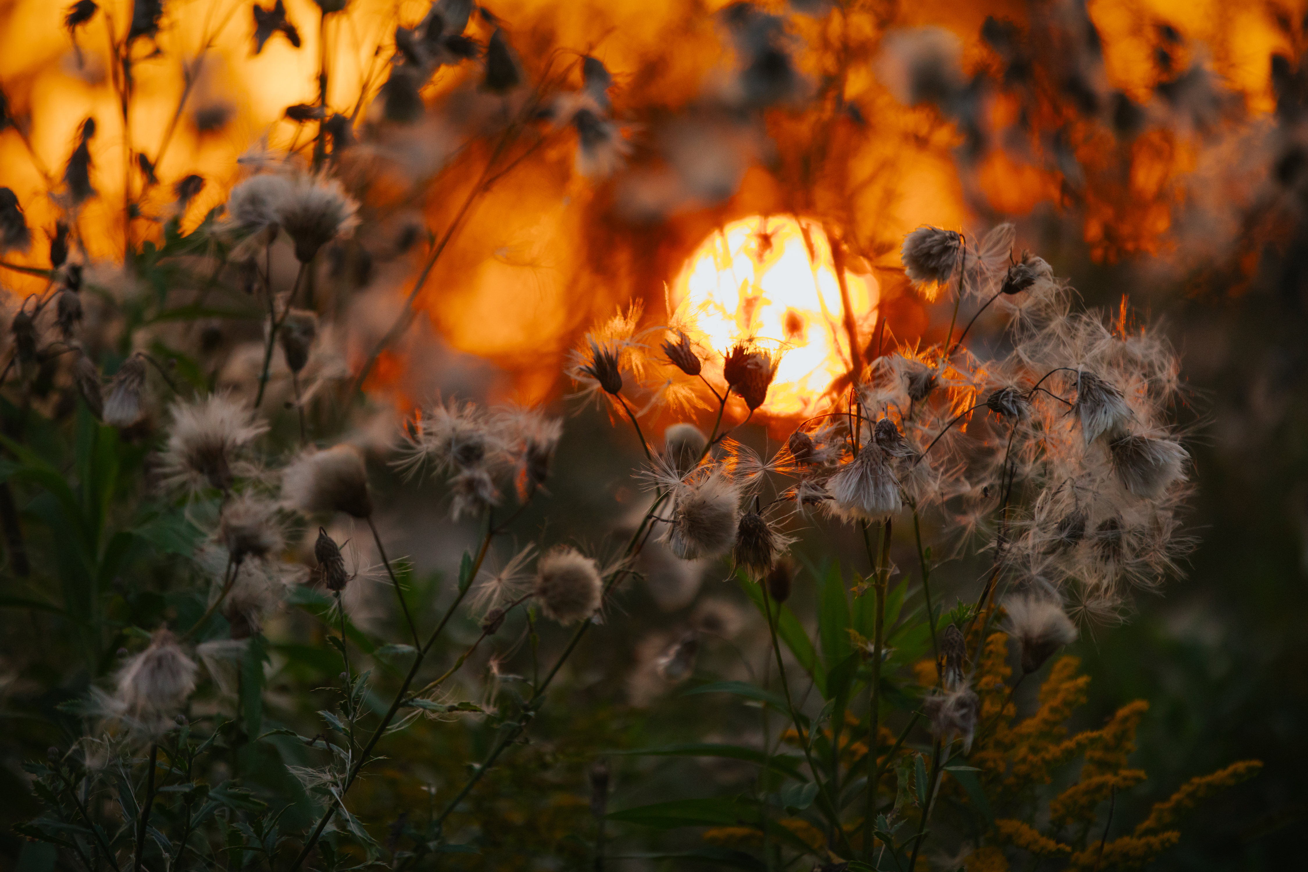 Māsa sniedz aprūpi pacientam mājās